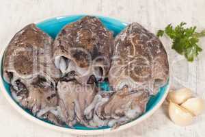 Raw Cuttlefish