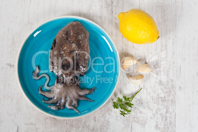 Raw Cuttlefish