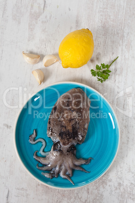 Raw Cuttlefish