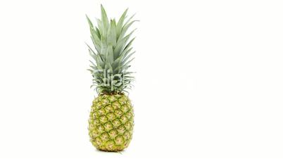 pineapple uncut on white background