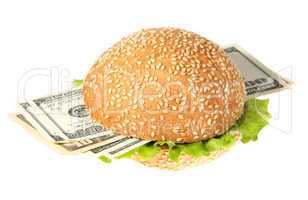 Hamburger with money on the white