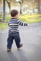 Young Baby Boy Walking in the Park