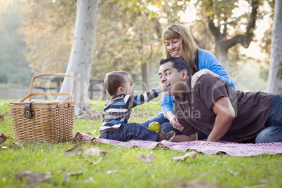Happy Mixed Race Ethnic Family Having Picnic In The Park