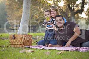 Happy Mixed Race Ethnic Family Having a Picnic In The Park