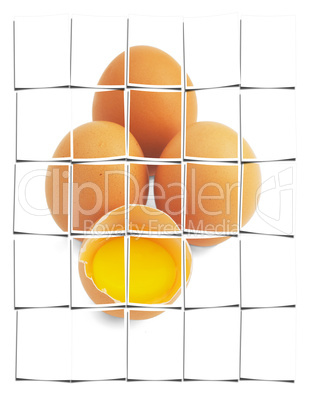 eggs