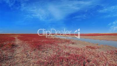 steppe landscape