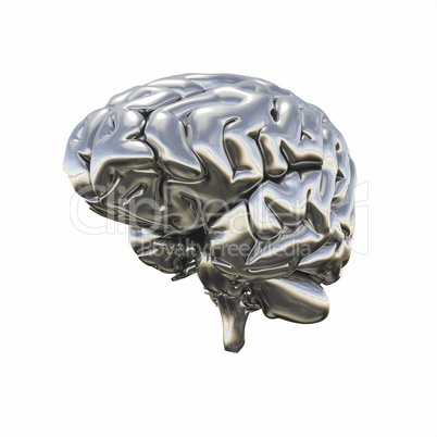 Chrome Brain - Ansicht halb rechts