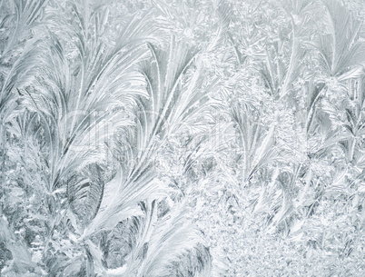 Frozen Window Background