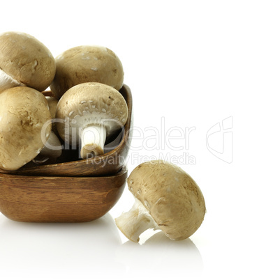 Mushrooms