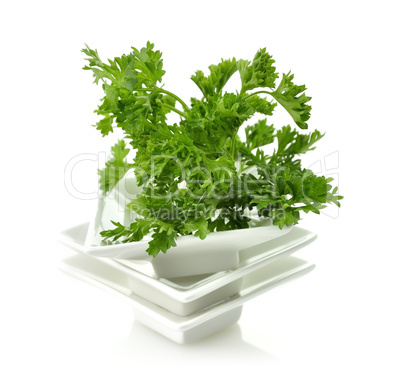 Fresh Parsley