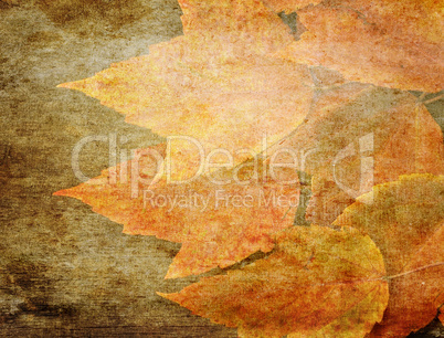 Autumn Grunge Background