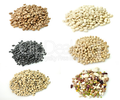 Raw Beans Collection