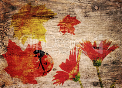 Fall Theme  Background