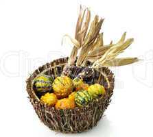 Decorative Squash And Colorful Corn