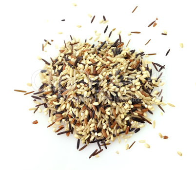 wild rice blend