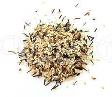 wild rice blend