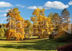 autumn landscape