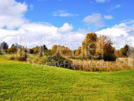 autumn landscape