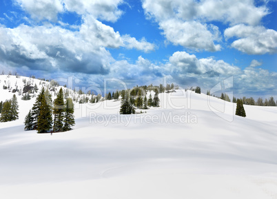 Snow In A High Mountains