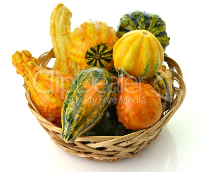 Gourds