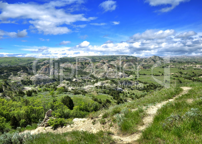 Mountain landscape