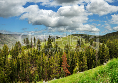 Mountain landscape