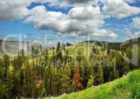 Mountain landscape