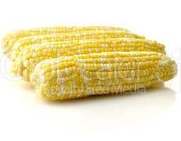 fresh raw corn