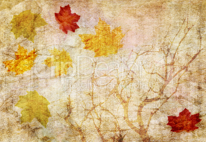 grunge abstract fall  background