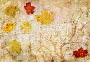 grunge abstract fall  background