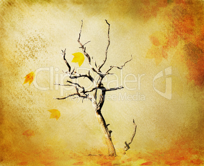 fall grunge background