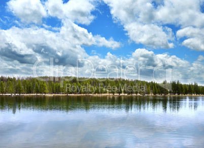 lake with forest