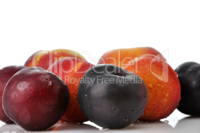 plums ,peaches and nectarines