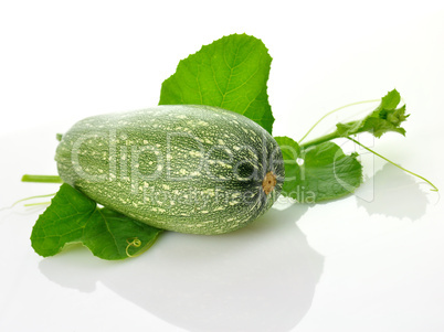 zucchini