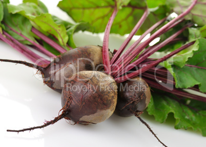 fresh beets