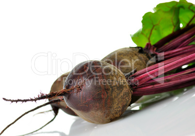 fresh beets