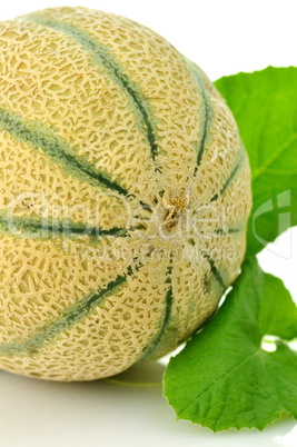 melon