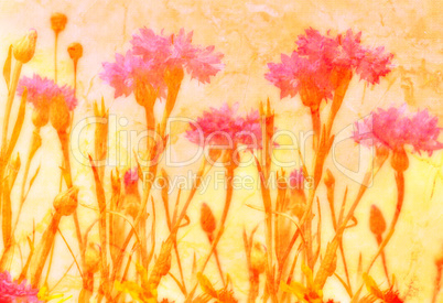 floral background