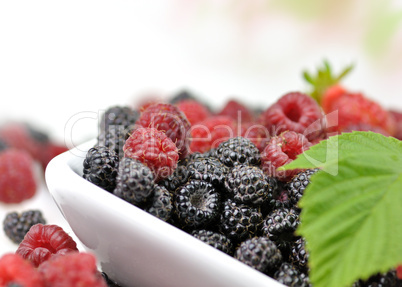 berries