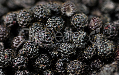 blackberries