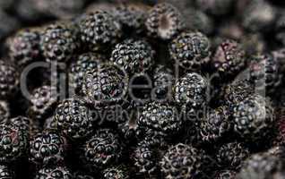 blackberries