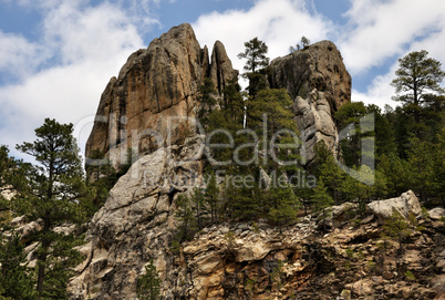 mountain forest