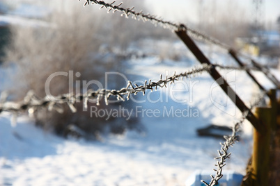 Metal barbed wire