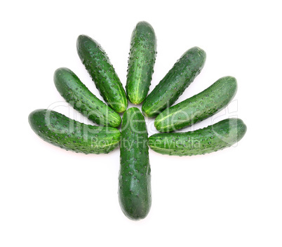 Cucumbers in the form of a green tree