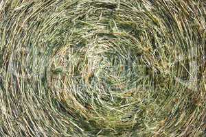 A close-up shot of a large bail of hay