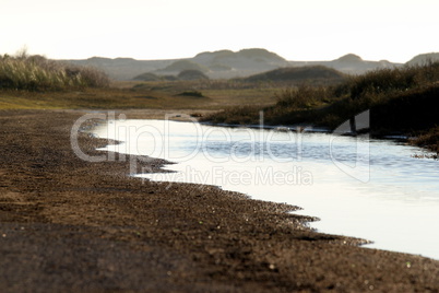 wetland