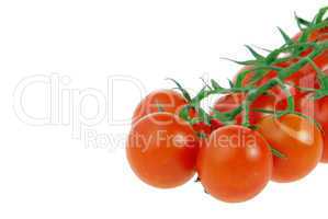 Tomate - tomato 25