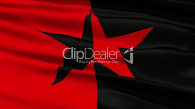 Red and Black Star Flag
