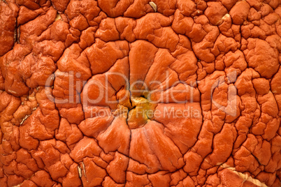Background from an old pumpkin