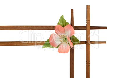 Decorative wooden frame with flowers, isolated on white backgrou